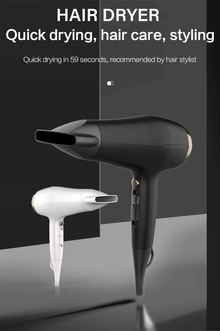 Professional Hair Dryer